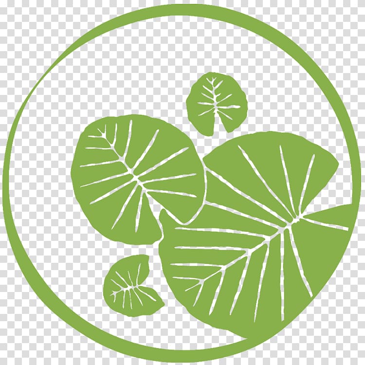 The Lily Pad at Byron Main Beach Accommodation Tree Hamburger, lilly pad transparent background PNG clipart