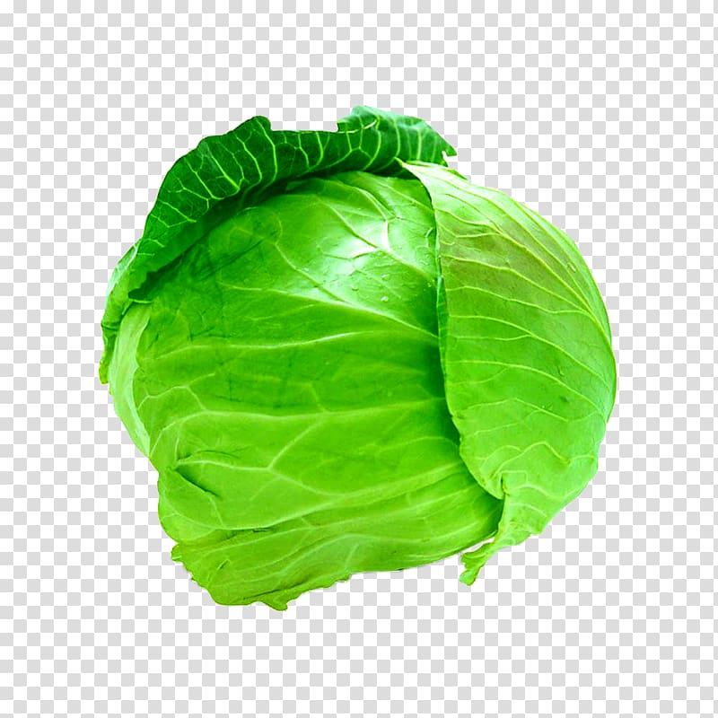 Savoy cabbage Cauliflower Leaf vegetable, cabbage transparent background PNG clipart