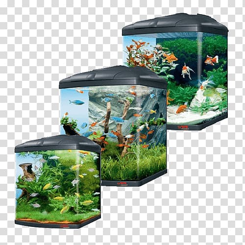 Biotope Aquarium Fresh water Fishkeeping Cube, Aquarium transparent background PNG clipart