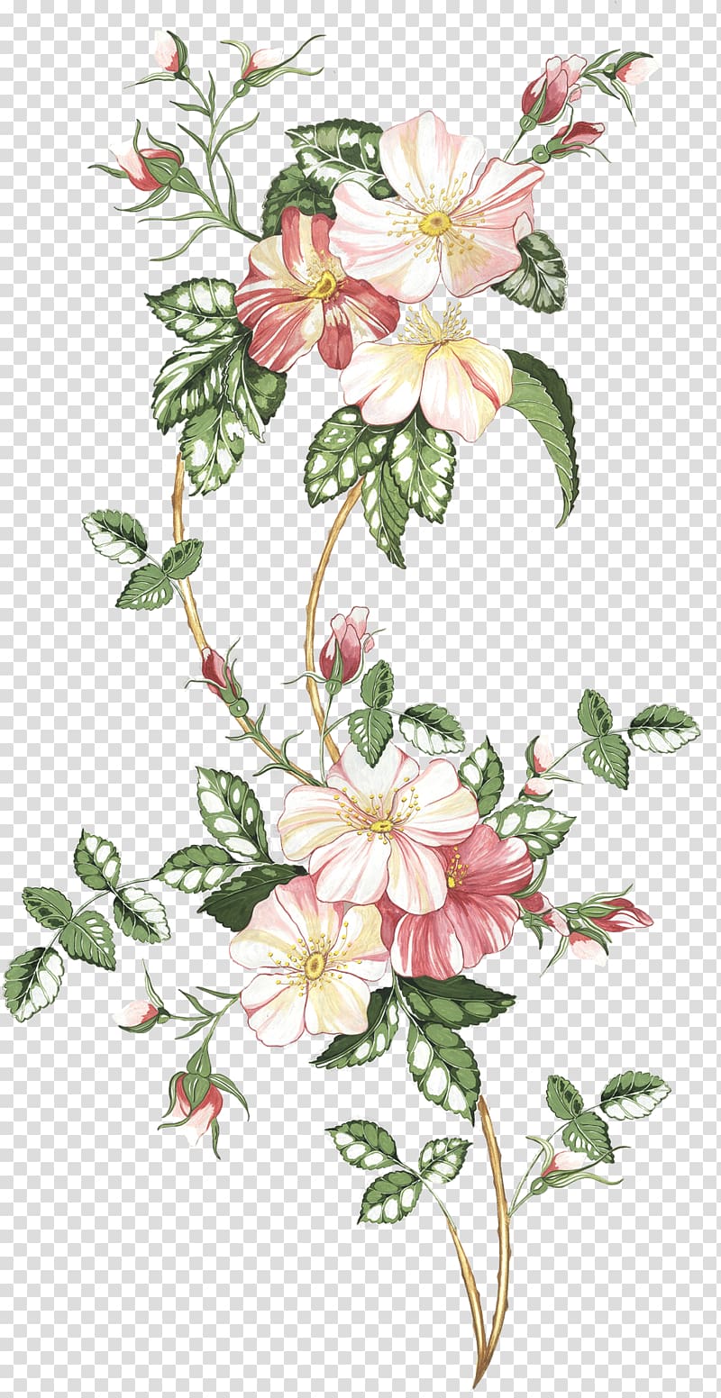 Paper Decorative Borders Floral design Drawing, design transparent  background PNG clipart | HiClipart