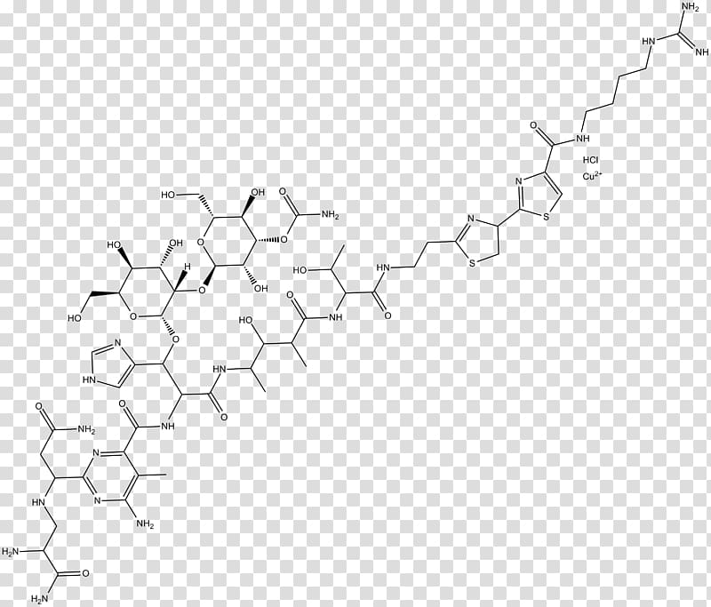 Product Point Line art Font Angle, microBiology transparent background PNG clipart