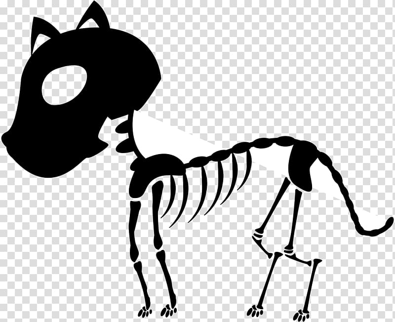 Cat Computer Icons , Skeleton transparent background PNG clipart