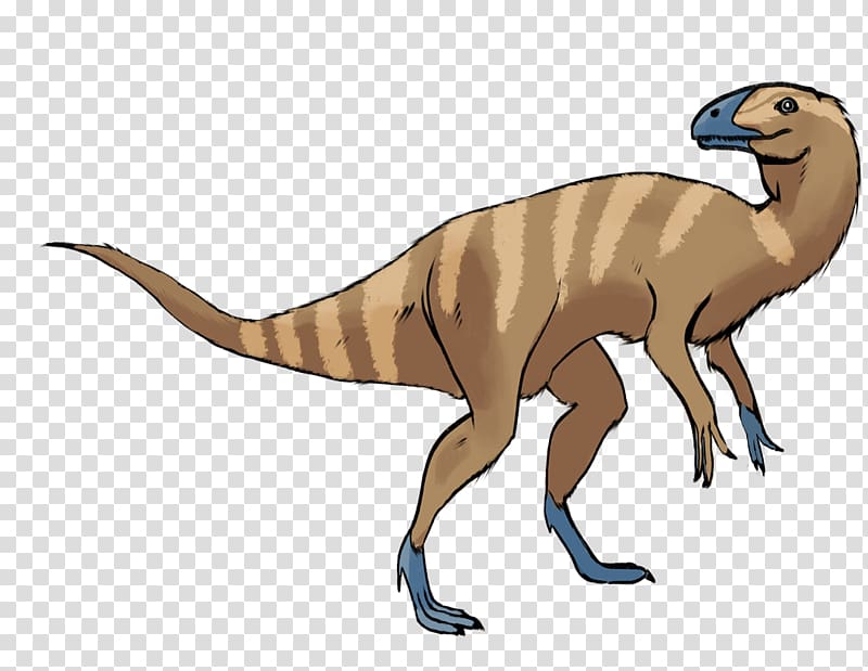 Velociraptor Eoraptor lunensis Drawing Dinosaur Tyrannosaurus, dinosaur transparent background PNG clipart