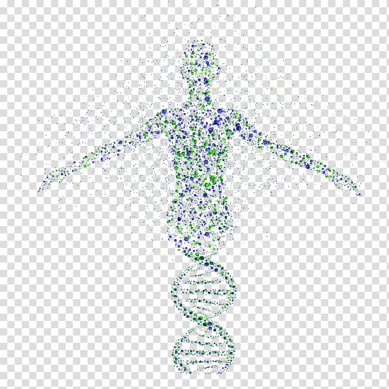 gene transparent background PNG clipart