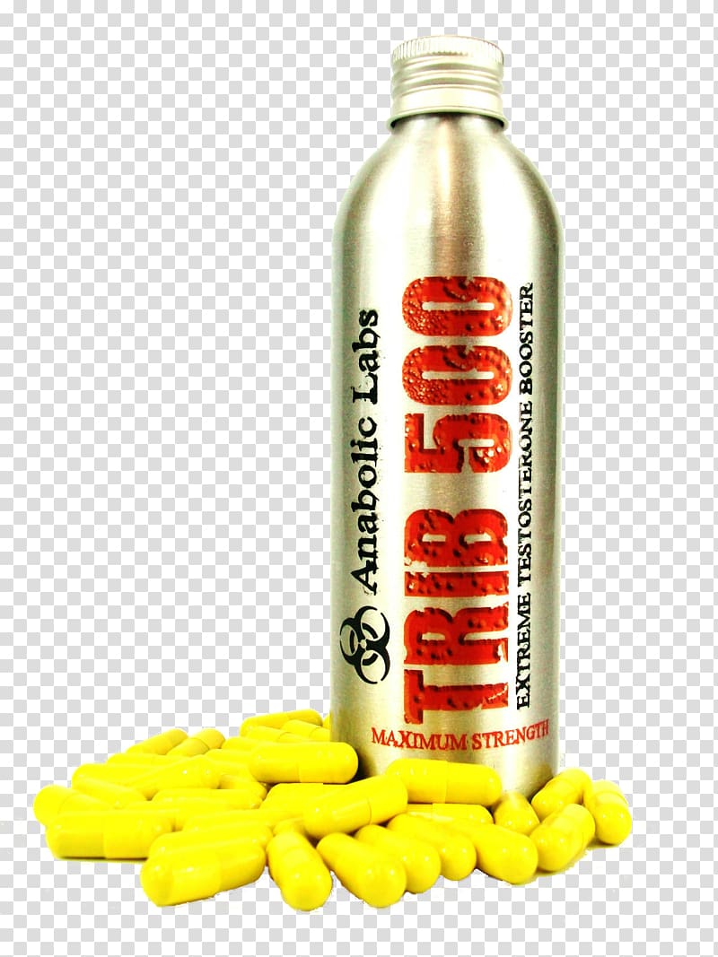 Dietary supplement Testosterone Anabolic steroid Sterol Muscle hypertrophy, others transparent background PNG clipart