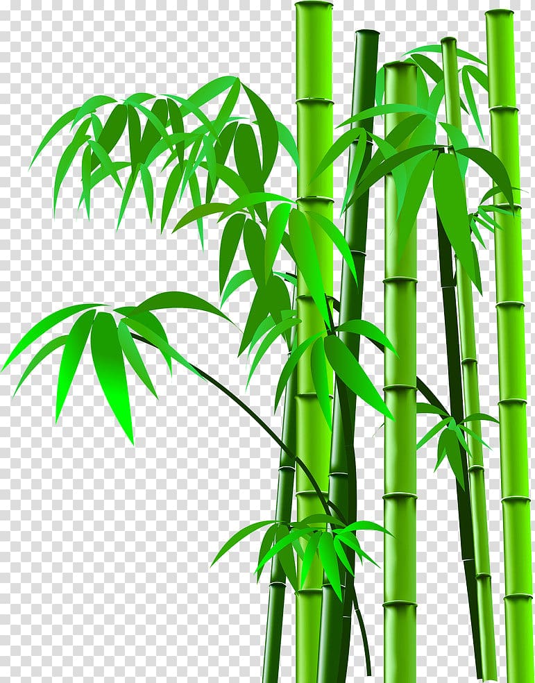 green bamboo tree graphic illustration, Bamboo scanner, Cartoon bamboo bamboo silhouette,bamboo transparent background PNG clipart