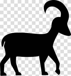 Goat, Zodiac, Astrological Sign, Buzzfeed, Cattle, QUIZ, Birthstone