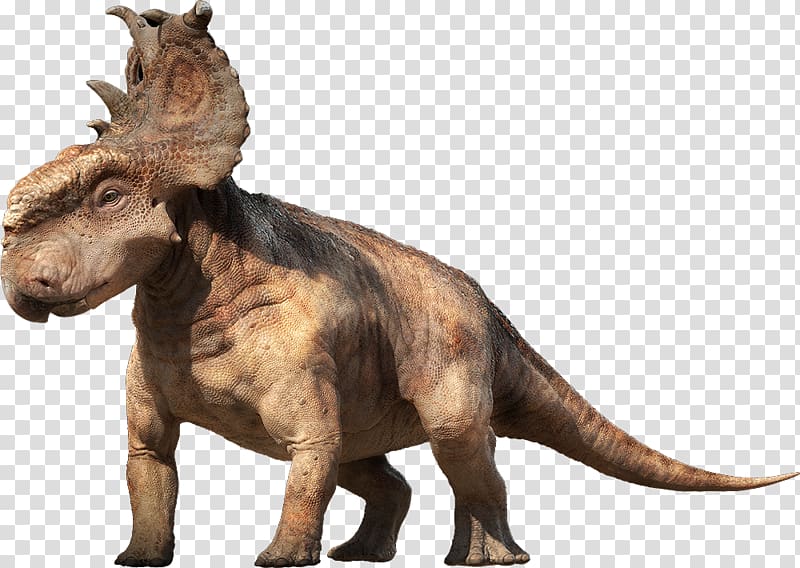 Dinosaur transparent background PNG clipart