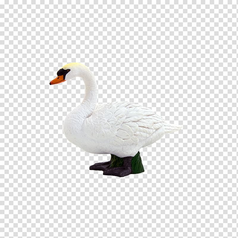 Mute swan Goose Duck Pony Cygnini, Sal transparent background PNG clipart