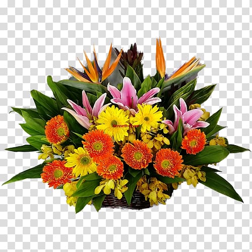 Floral design Cut flowers Flower bouquet Transvaal daisy, get well soon transparent background PNG clipart