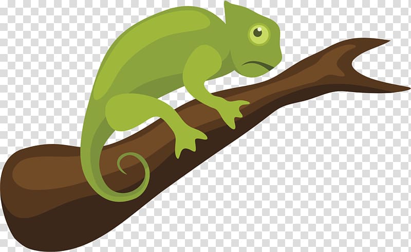 Chameleons Reptile , Chamaleon transparent background PNG clipart