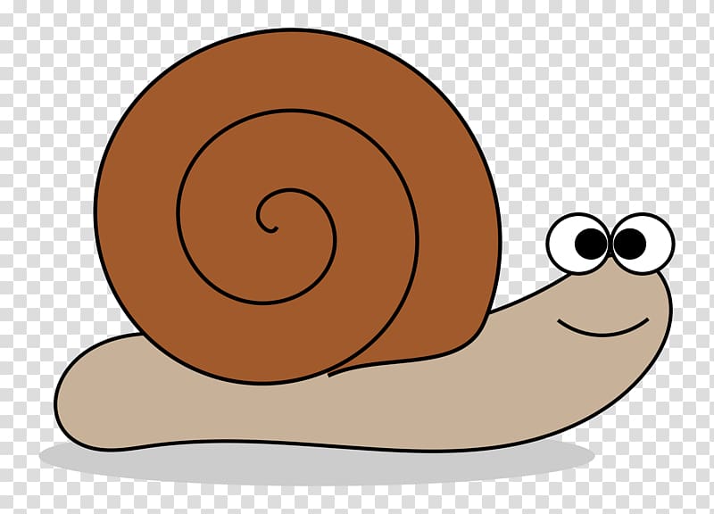 Snail , snails transparent background PNG clipart