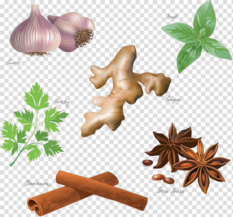 Spice Herb Star anise Encapsulated PostScript, ginger transparent background PNG clipart