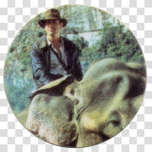Indiana Jones Adventure Film Film Producer, elephant ride transparent background PNG clipart thumbnail