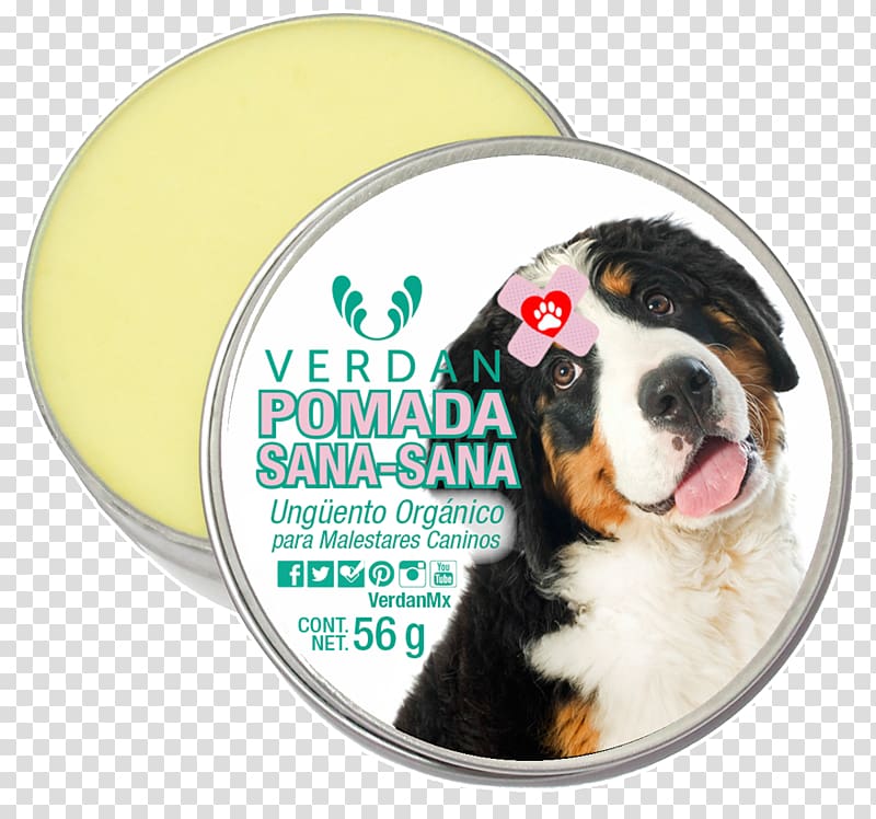 Bernese Mountain Dog Greater Swiss Mountain Dog Entlebucher Mountain Dog Puppy Mouthwash, puppy transparent background PNG clipart
