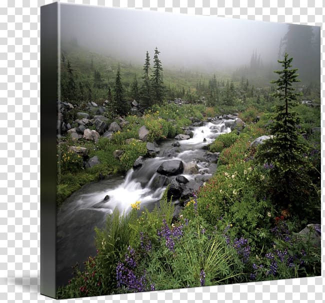 Mount Rainier Water resources Nature reserve Gallery wrap Waterfall, park transparent background PNG clipart