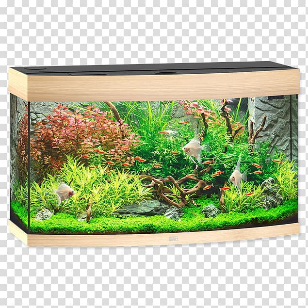 Aquarium Juwel Modell rio 180 led Akvarie 180 L rio 180 med led-armatur JUWEL Rio 240 LED Juwel Rio 240 Cabinet Juwel vision led, light transparent background PNG clipart