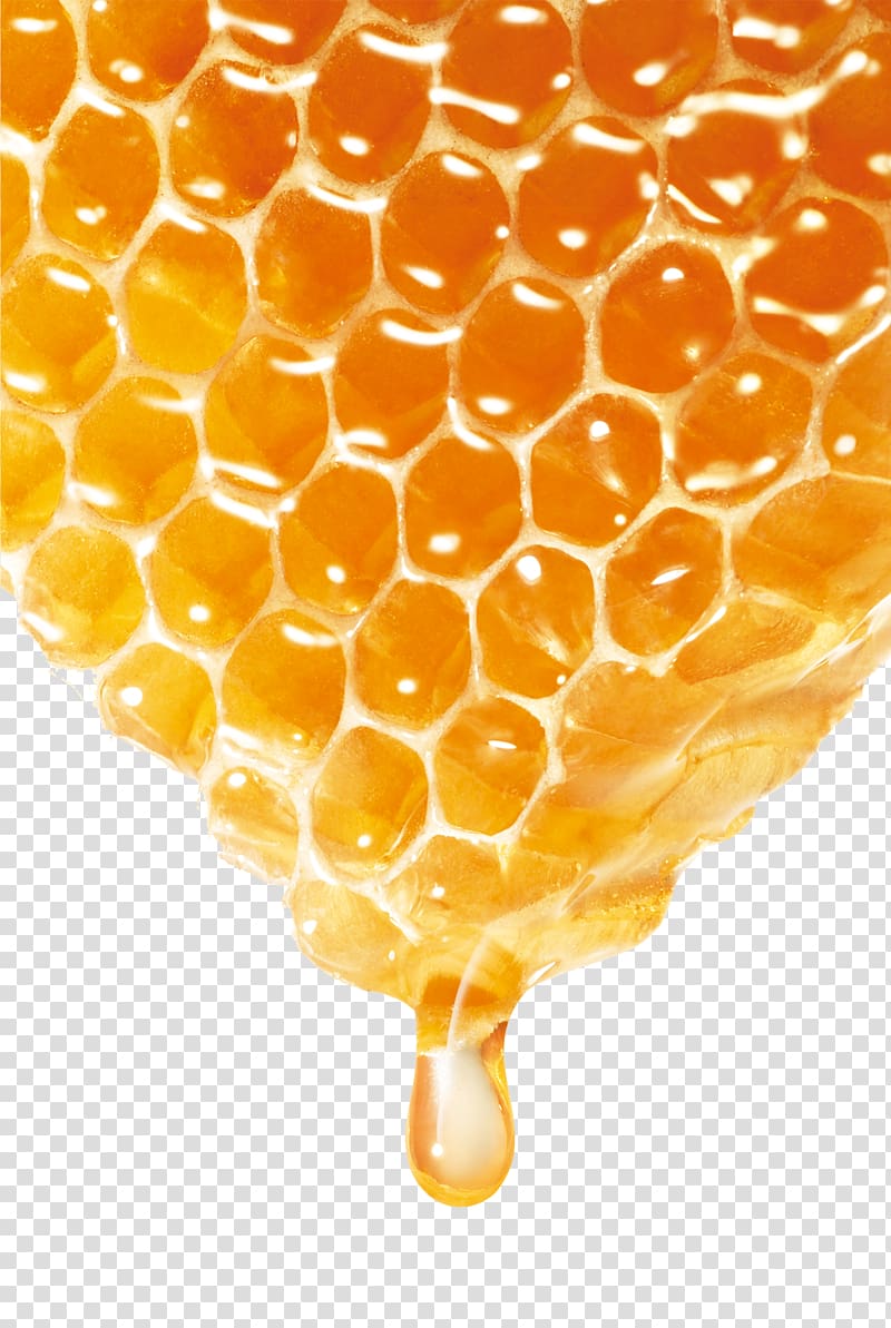 honeycomb illustration, Bee Honey, Delicious honey transparent background PNG clipart