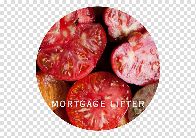 Mortgage Lifter Plum tomato Heirloom tomato Heirloom plant Variety, tomato paste transparent background PNG clipart