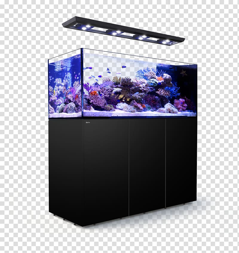 Red Sea REEFER Peninsula Reef aquarium, sea transparent background PNG clipart