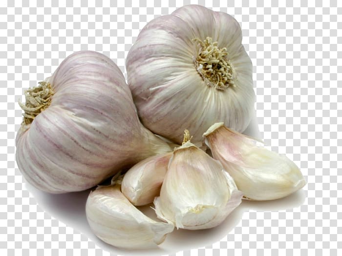 Vegetable Garlic Scape Crostino Onion, vegetable transparent background PNG clipart