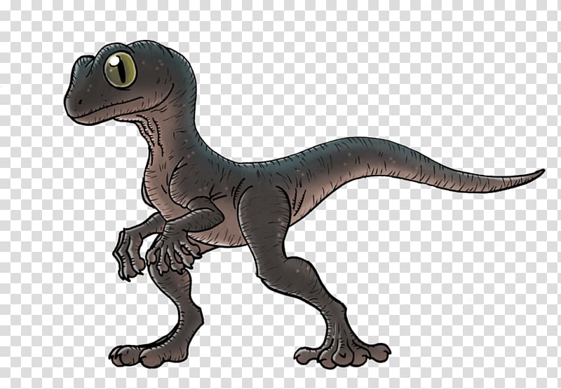 Velociraptor Tyrannosaurus Terrestrial animal, gecko transparent background PNG clipart