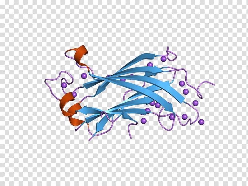 USP7 Ubiquitin p53 RELA Protease, others transparent background PNG clipart