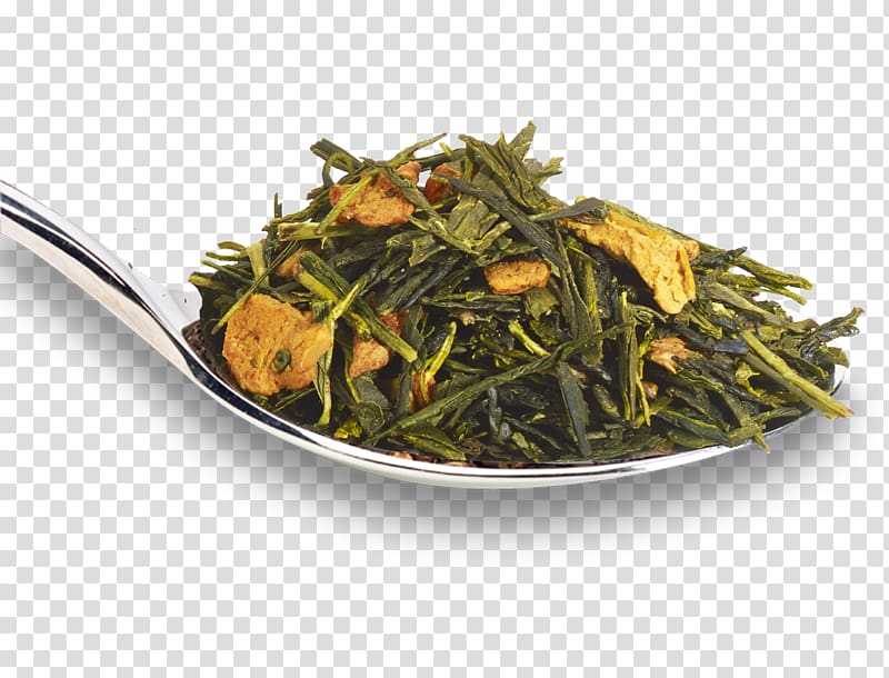 Sencha Green tea Elderflower cordial Nilgiri tea, green tea transparent background PNG clipart