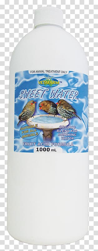 Bird Parrot Liquid Water, Bird transparent background PNG clipart