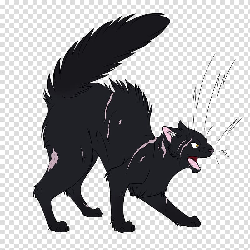 Cat Warriors Nightstar Crookedstar, night star transparent background PNG clipart