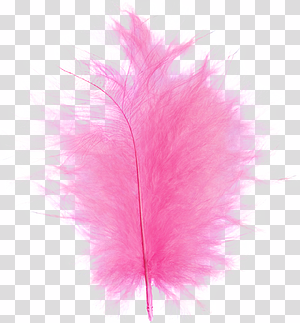 Pink Fluffy Marabou Feather transparent background PNG clipart thumbnail
