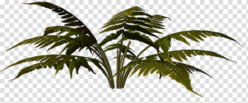 Arecaceae 2016 Nissan LEAF Megabyte , nissan transparent background PNG clipart