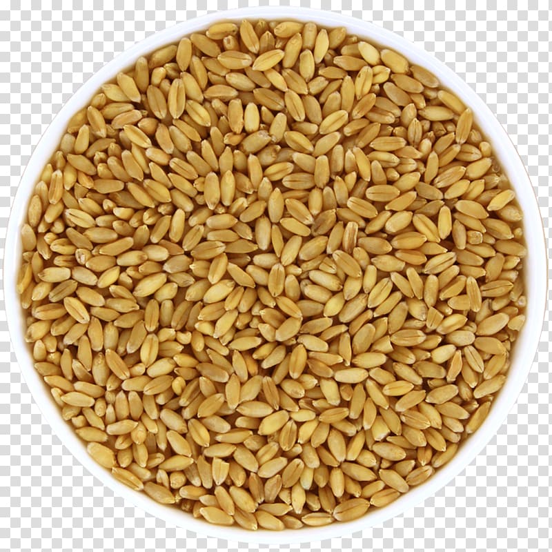 Oat Organic food Whole grain Cereal, Organic Farm transparent background PNG clipart