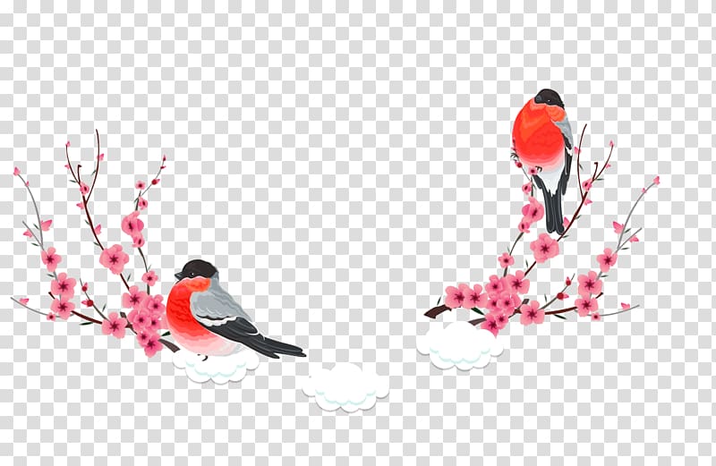 Winter solstice, Red flowers transparent background PNG clipart