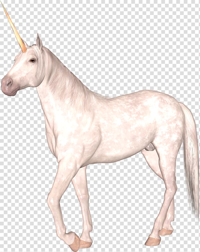 Unicorn transparent background PNG clipart