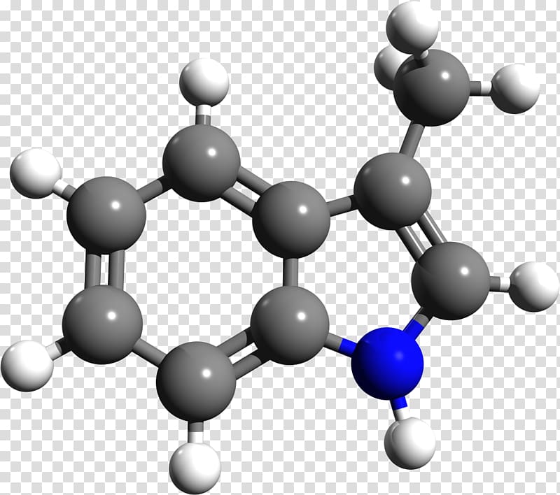 Tyrosine Levodopa Dopamine Melanin Amino acid, others transparent  background PNG clipart | HiClipart