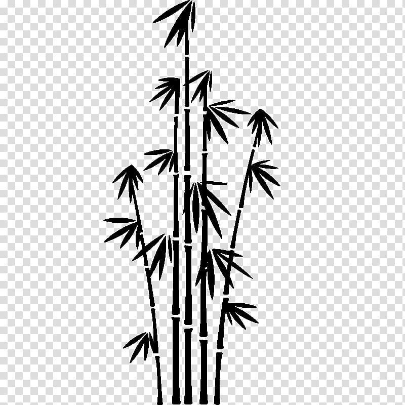 Bamboo Phyllostachys nigra, bamboo transparent background PNG clipart