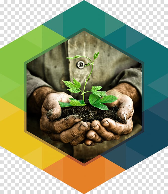 Soil fertility the Crossings Church Dig In! Hands-on Soil Investigations, hexagon transparent background PNG clipart