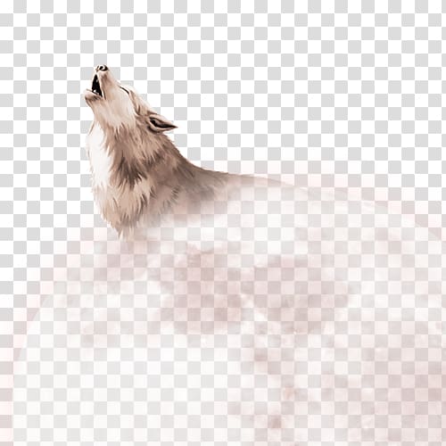 white wolf, Pomeranian , the wolf and the moon transparent background PNG clipart