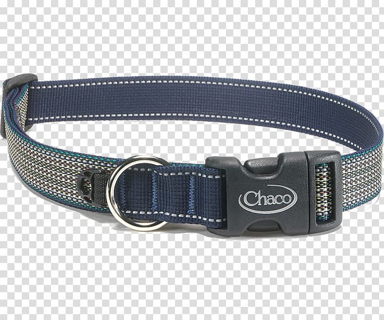Dog collar Leash Chaco, Dog transparent background PNG clipart