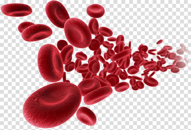 Cord blood bank Patient Leukemia, blood transparent background PNG clipart
