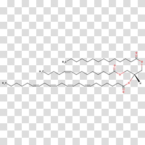 Line Point Angle, line transparent background PNG clipart thumbnail