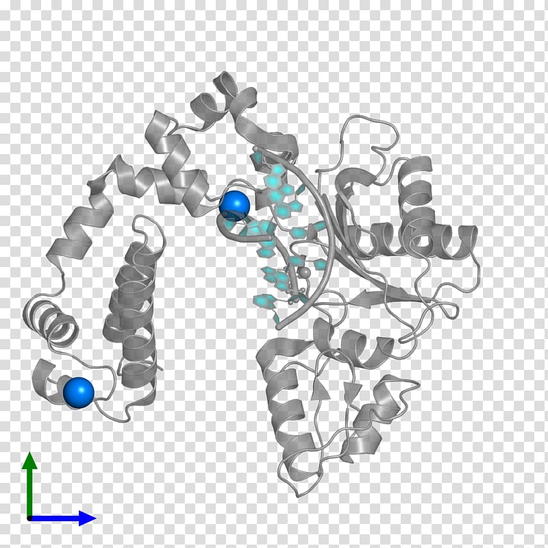 Protein Data Bank Ott Lite Structural Classification of Proteins database Pfam, transparent background PNG clipart