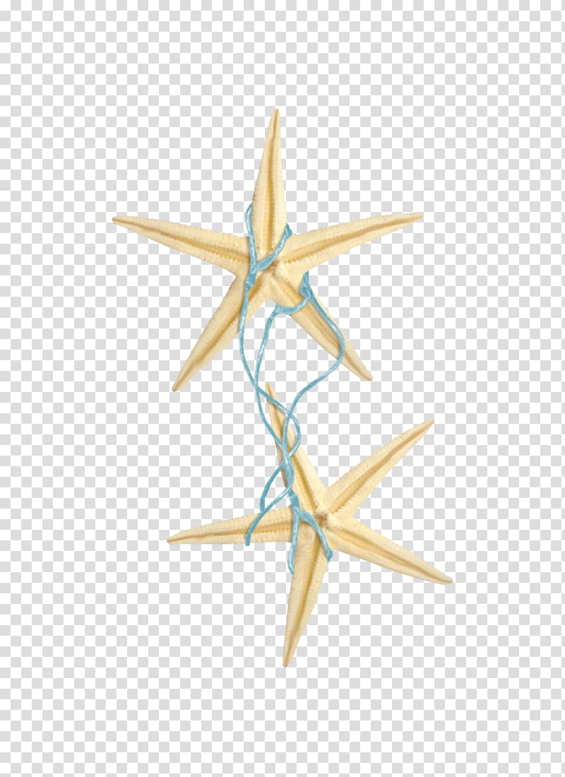 Starfish Rope Blue, Starfish rope transparent background PNG clipart