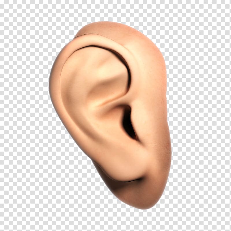 Hearing , humannose transparent background PNG clipart