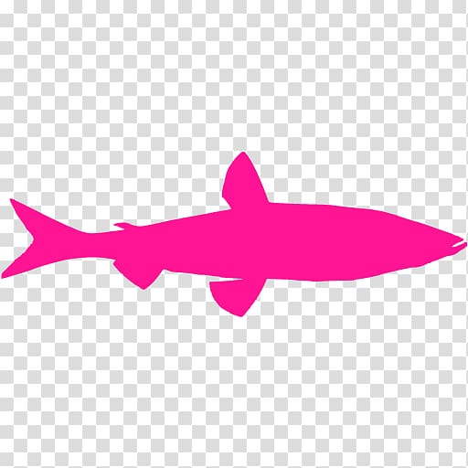 Shark Computer Icons , shark transparent background PNG clipart