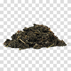 Soil Green tea Chun Mee Compost, dry parsley herb transparent background PNG clipart thumbnail