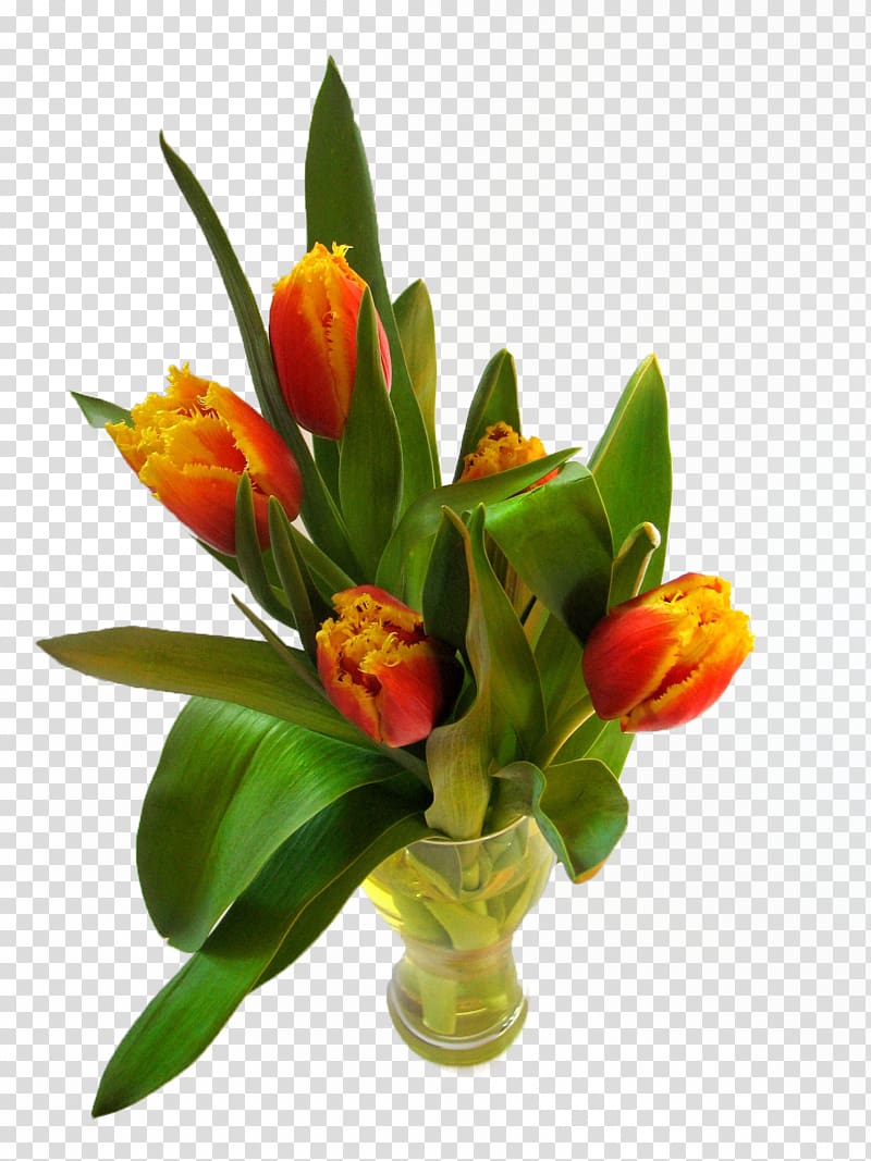 Tulip Time Festival Flowerpot, Potted tulips transparent background PNG clipart