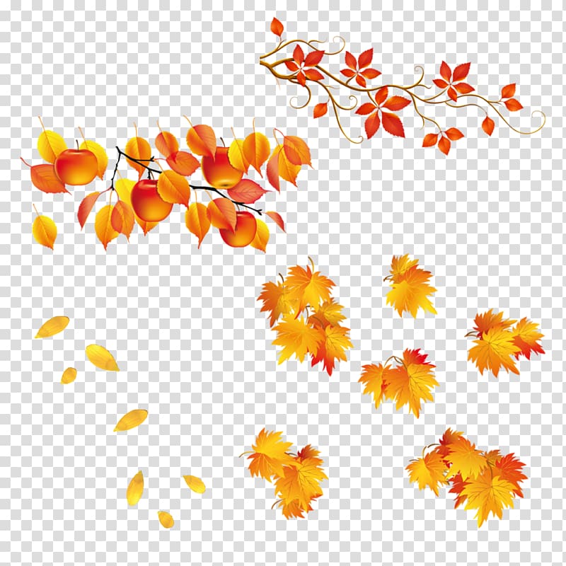 Autumn Leaf , Autumn leaves transparent background PNG clipart