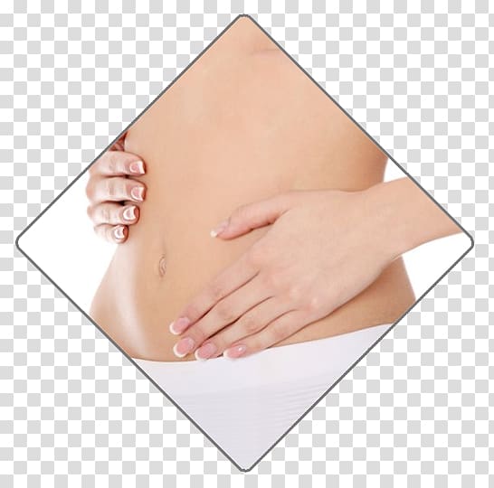 Areolar gland Pregnancy Health Diet Abdominoplasty, pregnancy transparent background PNG clipart